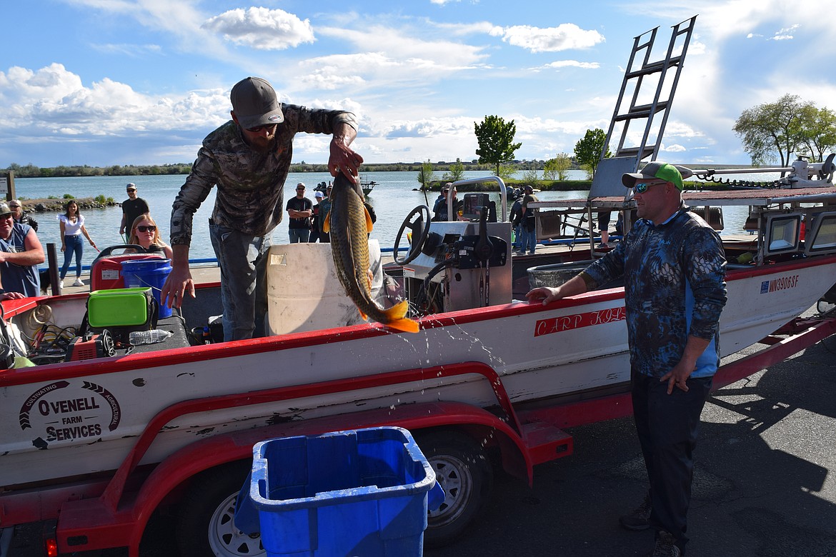 Unloading the carp catch at Connelly Park from the 2022 Moses Lake Carp Classic. Participants in the yearly event use specially-equipped bows and arrows to take on the invasive fish's population in the city's namesake body of water.
