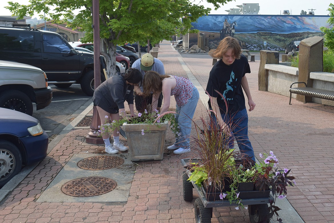 Moses Lake High School students work on a downtown flower box Wednesday.