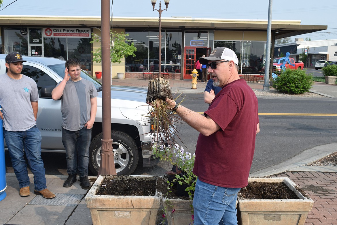 Ag instructor Tony Kern demonstrates the best way to plant ornamental grass.