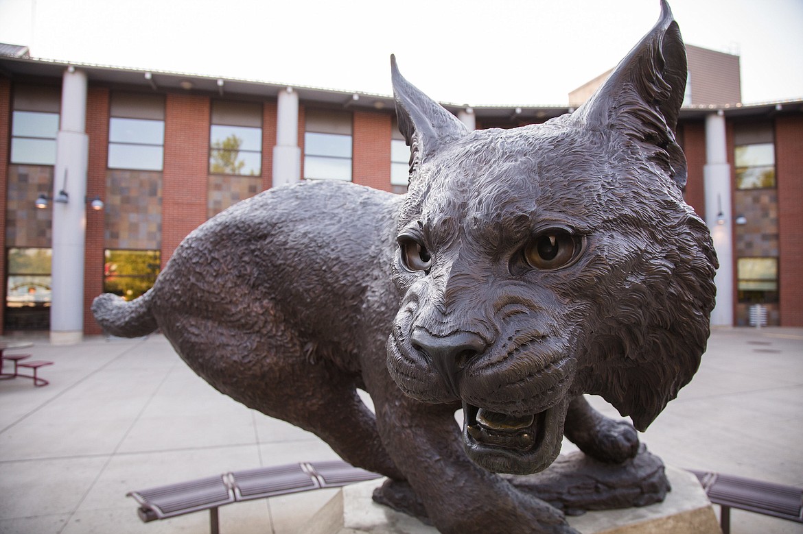 Central Washington University mascot Wellington the Wildcat.