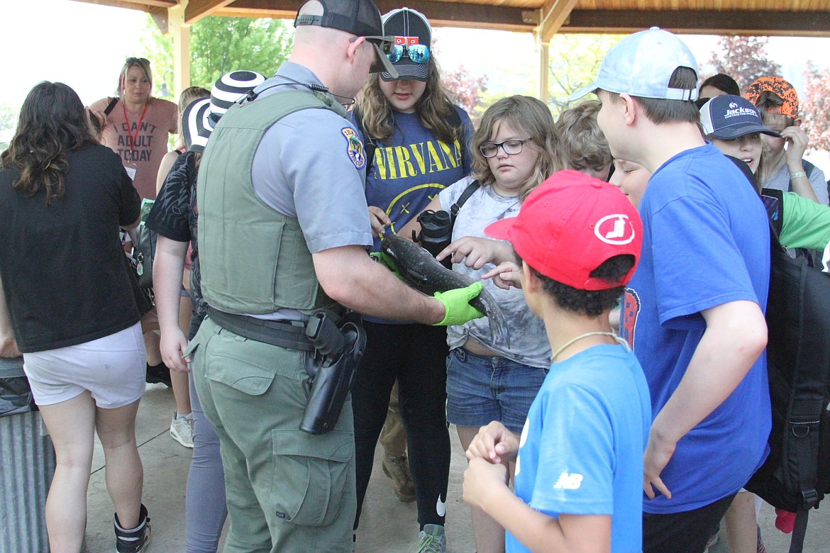 Students are able to interact with a live trout at the end of the Idaho Fish and Game presentation