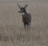 State makes several changes for next hunting season
