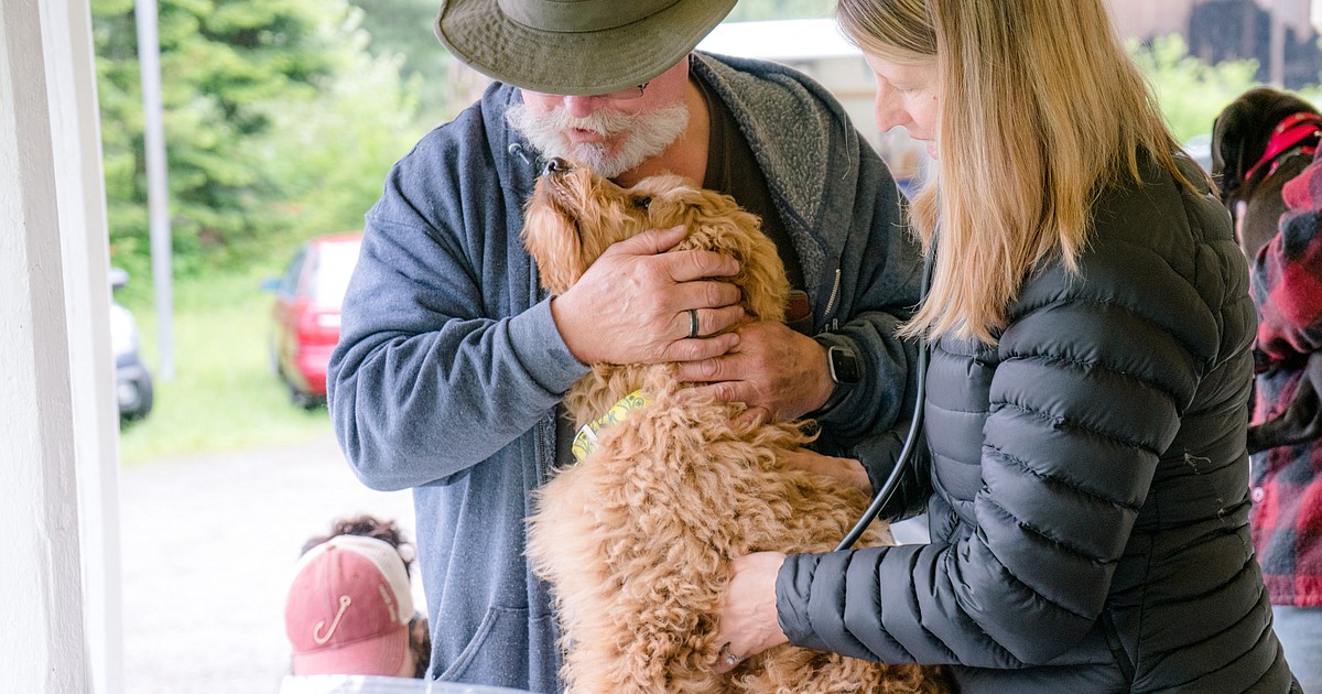 Free wellness checks for people, pets - Vimarsana News
