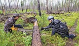 Backcountry Horsemen of the Flathead in 50th year