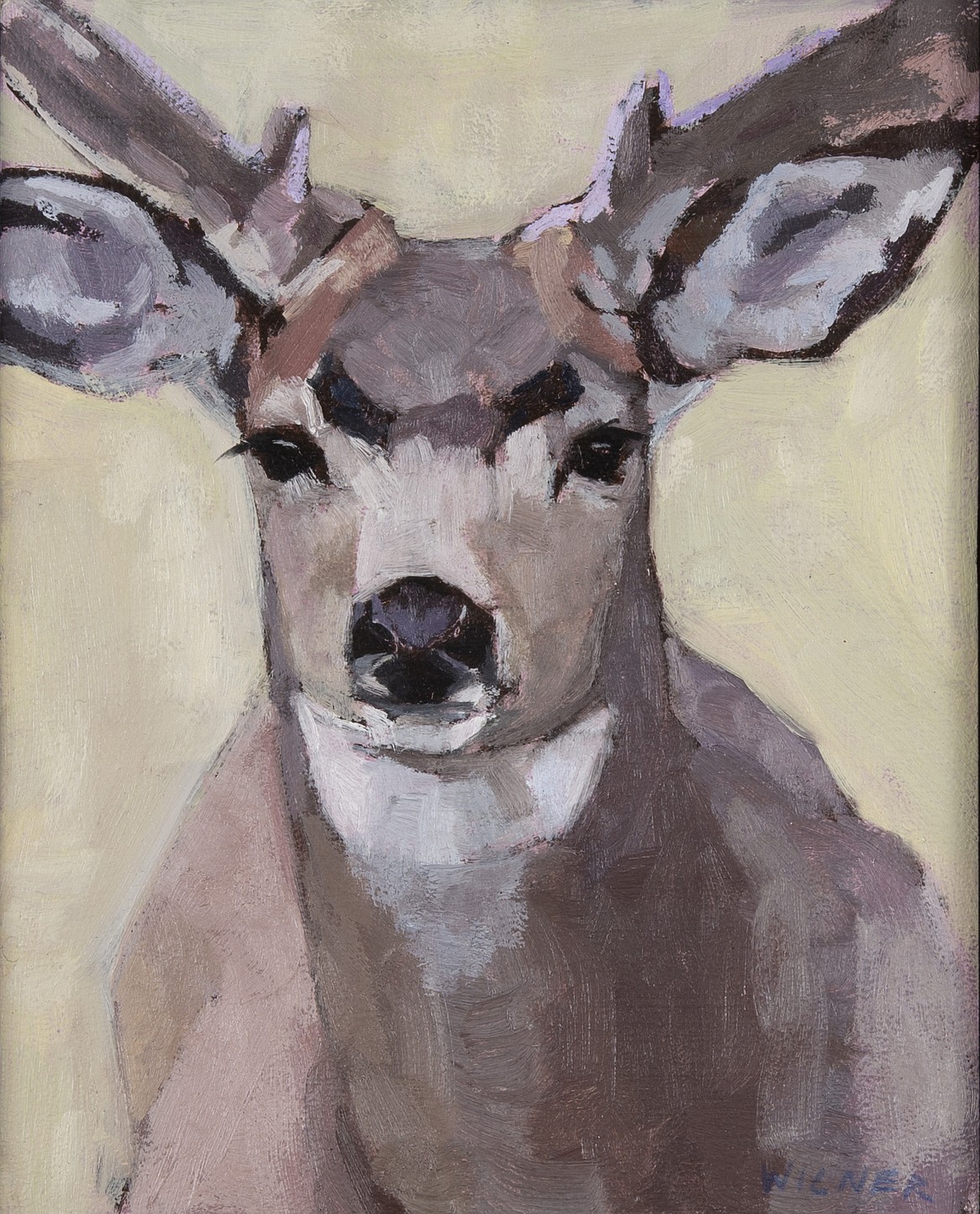 Oil and mixed-media paintings such "Mule Deer," by Corvallis artist Amanda Wilner will be featured in a show at Cawdrey Gallery during Whitefish Gallery Nights. (Courtesy photo)