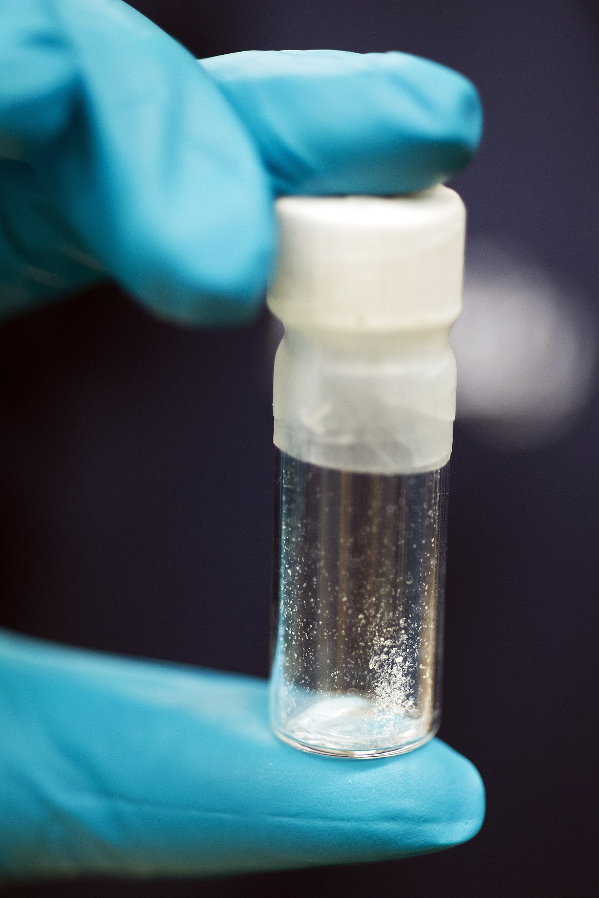 A vial containing 2mg of fentanyl, which will kill a human if ingested into the body, is displayed at the Drug Enforcement Administration Special Testing and Research Laboratory in Sterling, Va., on Aug. 9, 2016. Law enforcement and public health officials are finding increasing amounts of the animal tranquilizer xylazine in both heroin and fentanyl, which makes it harder to treat overdoses with Narcan. In addition to this liquid form, fentanyl is manufactured into both pill and powder forms.