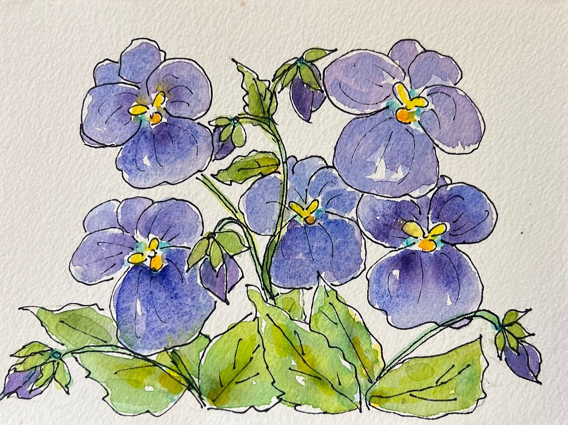 Watercolors on postcards will be taught at POAC’s Joyce Dillon Studio, first-class art instructor Elizabeth Peterson on Wednesday, June 28 from 9 a.m. to noon.