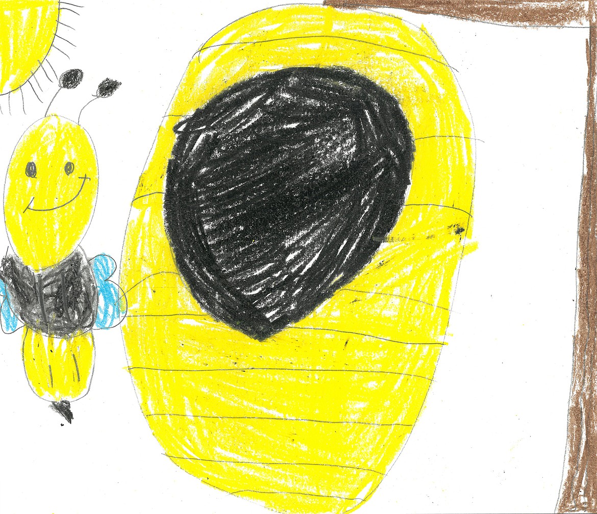 (Callie Grove, Idaho Hill Elementary, second grade)