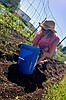 Gardening for good