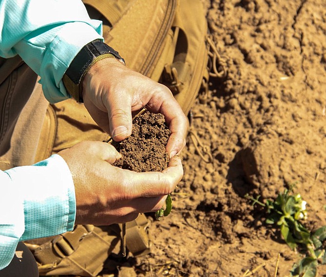 Chanel Tewalt, director of the Idaho State Department of Agriculture, says she would like to see more support for the physical and mental health of farmers and those involved in food production, especially given the financial stressors that the industry faces.