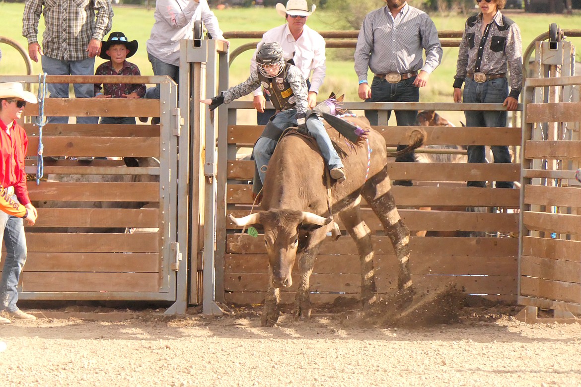 Rodeo action delights Homesteader Days crowd Valley Press/Mineral