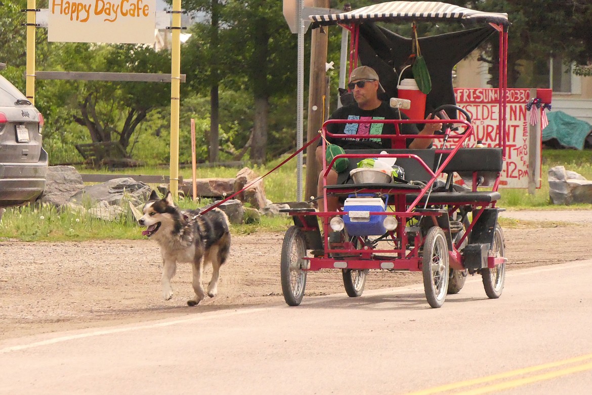 Walking the dog or the dog walking the man is the question in this pre-parade means of transportation prior to Sunday's Homesteader Days parade in Hot Springs. (Chuck Bandel/VP-MI)