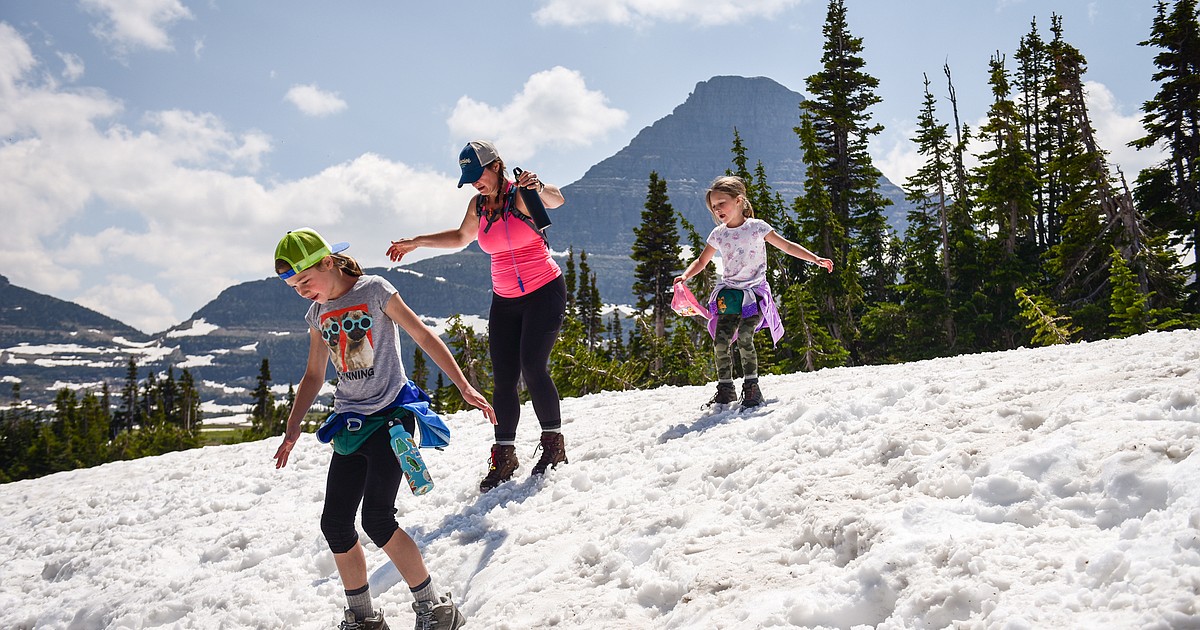 Glacier Park visitors surprised, but delighted by Going-to-the-Sun Road's early opening - Vimarsana News