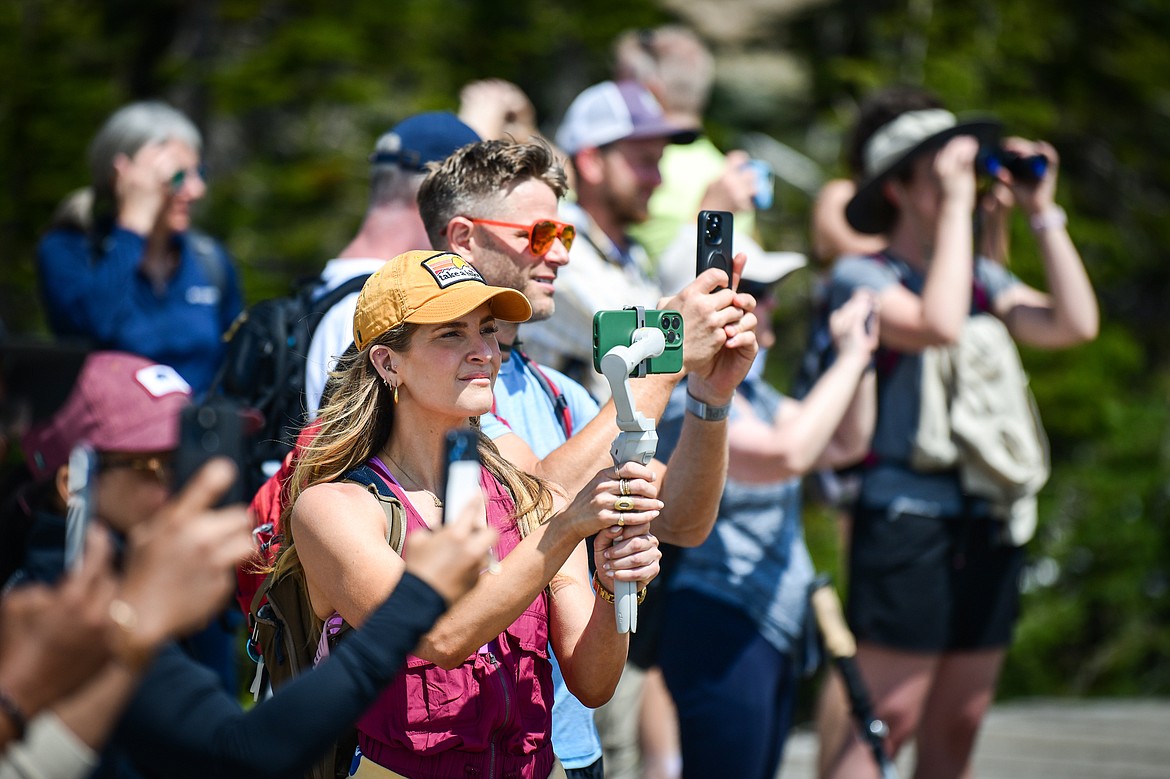 Hikers watch a herd of bighorn sheep near the Hidden Lake Trail in Glacier National Park on Tuesday, June 13. (Casey Kreider/Daily Inter Lake)