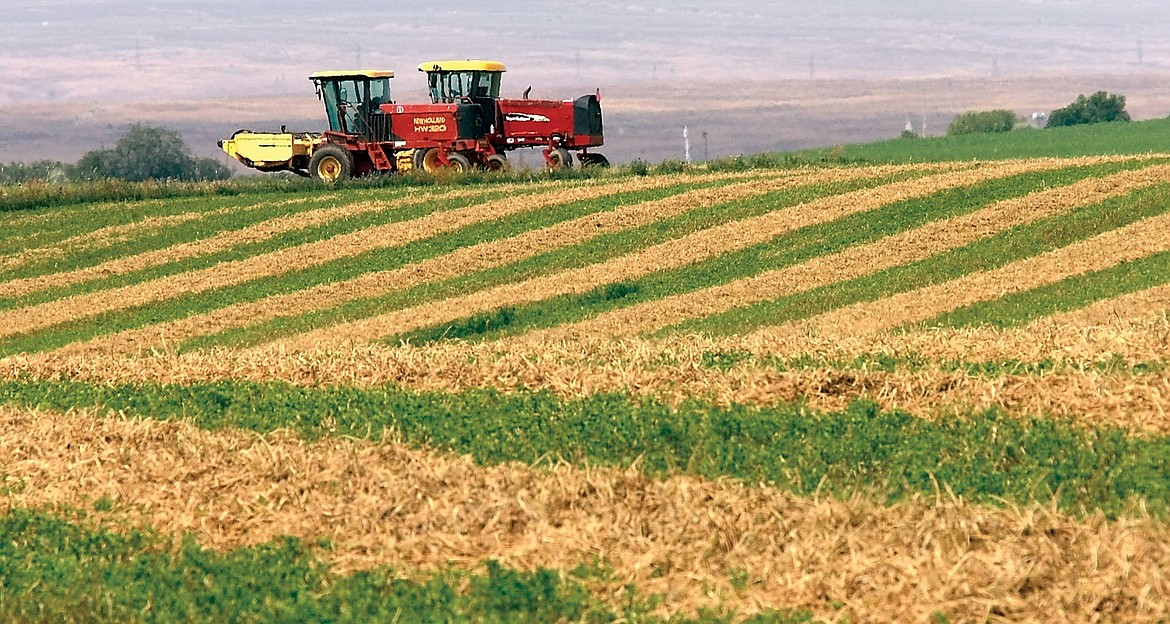 Harvesting equipment sits idle in a partially-cut alfalfa field north of Pasco in 2010. Recent wet weather has made the hay harvest lower quality than usual.