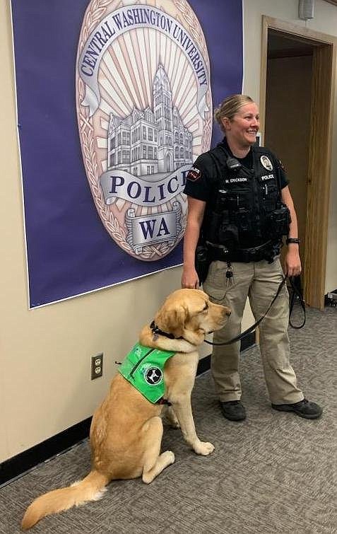 Central Washington University Police Department therapy dog Archie with his handler on May 30. The CWUPD hopes having Archie on hand will help students and staff.