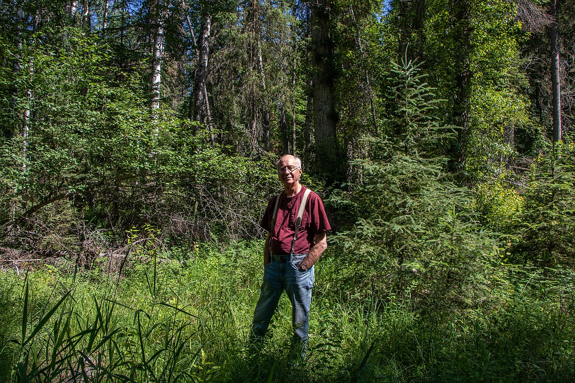 Ed Goldberg stands on his property along the Swan River east of Bigfork on June 22, 2023. Goldberg just placed his 40 acres under a conservation easement. (Kate Heston/Daily Inter Lake)