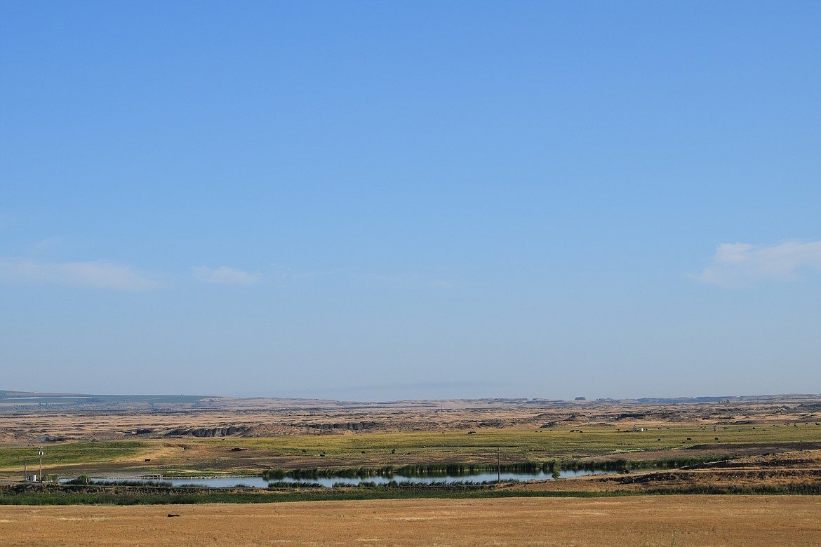 A sunny day near Othello in this photo taken near P.J. Taggares Park on West Cunningham Road.