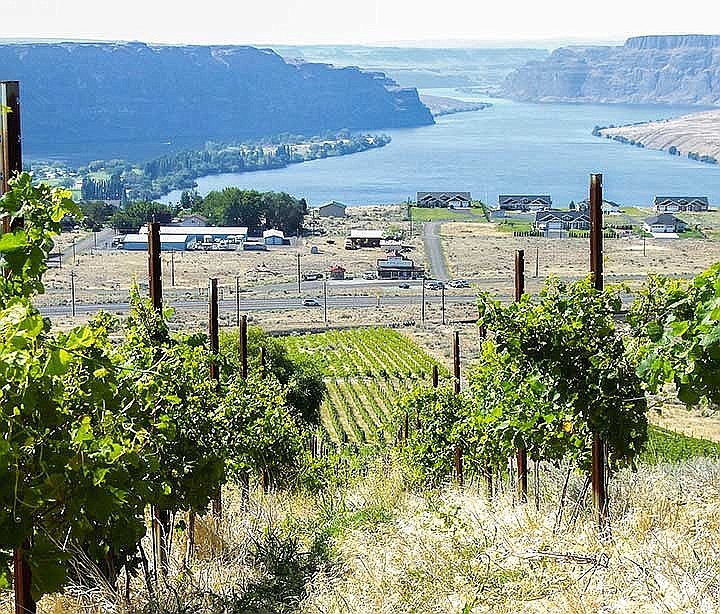 In recent years, wineries and vineyards throughout Eastern Washington have earned what seems to be an ever-increasing number of awards.