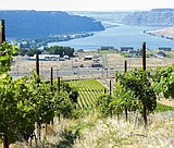 Eastern Washington wineries earn awards