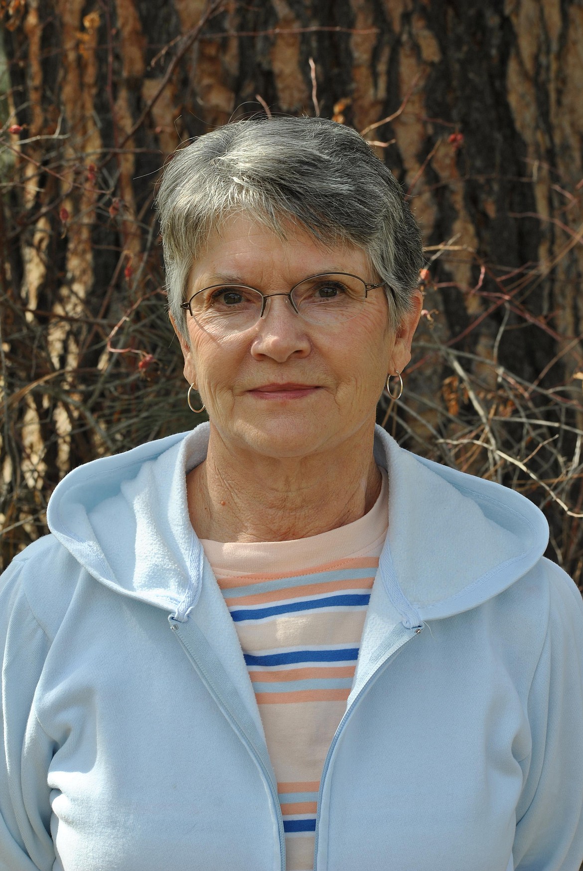 On June 29, the Mineral County Library is featuring a new local author, Kathryn McKinney Verley and her newly published book, A Boomer's Story: From the Falls, to the Mountains, and Place in Between - Life Marches On. The biographical tells the history of her families Native American heritage, her father's time as a prisoner of war in WWII, and old tales of life and the locals of Superior, Montana. (Mineral Independent/Amy Quinlivan)