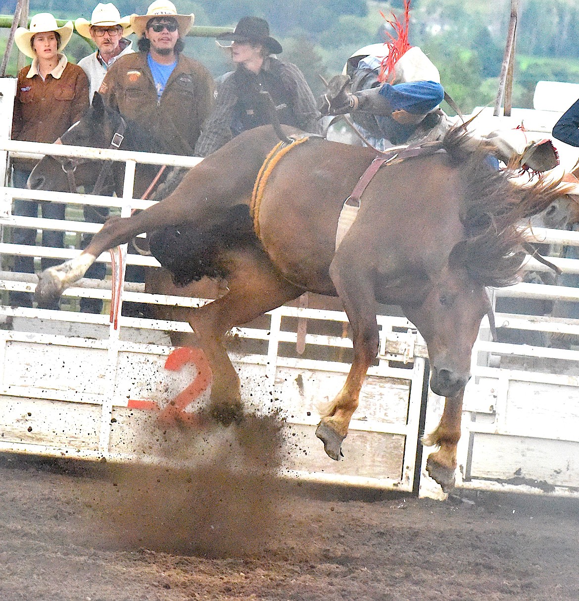 This cowboy got a view from the air on this bronc at the Mission Mountain NRA Rodeo on June 23 and 24. (Berl Tiskus/Leader)