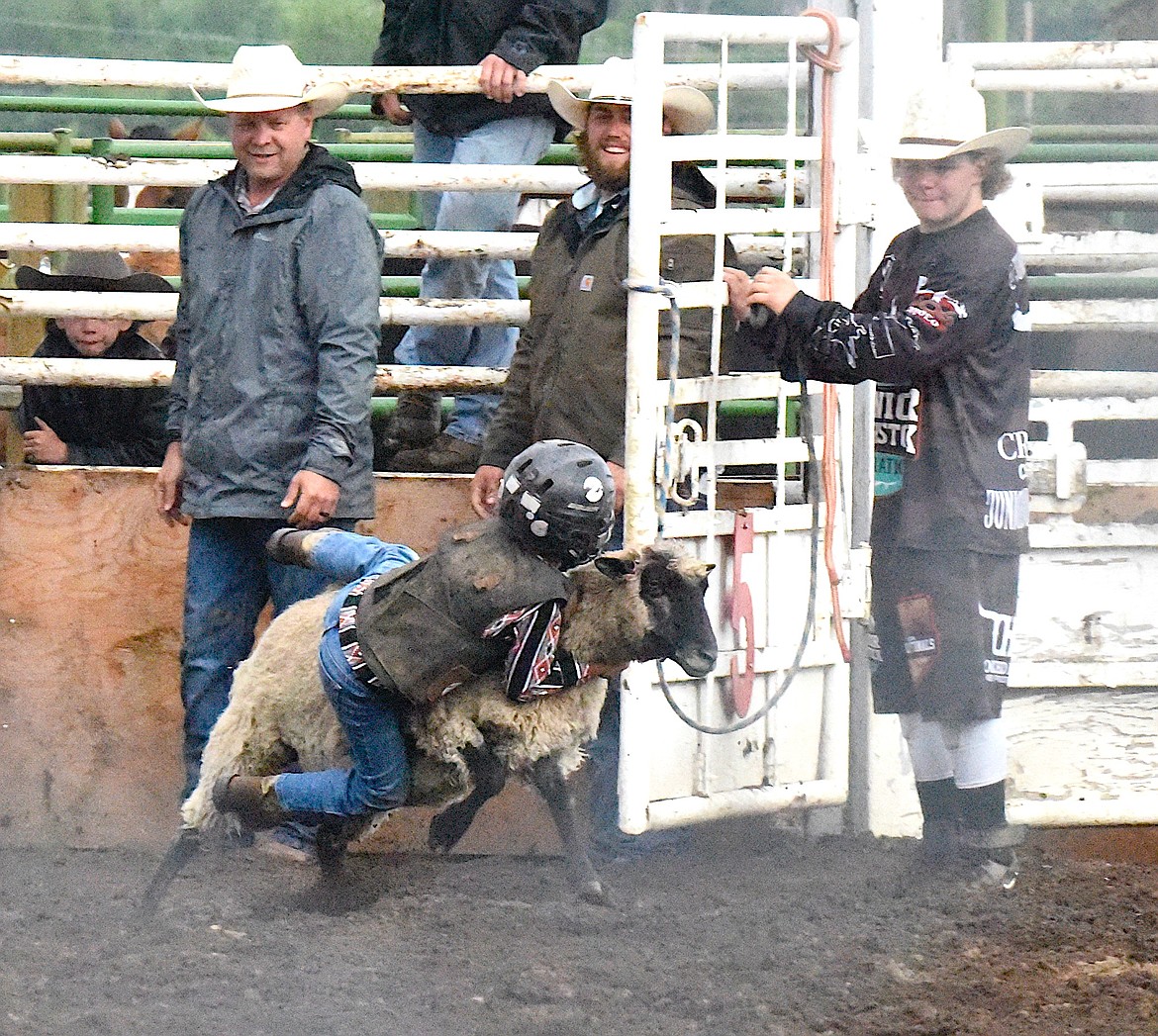 This mutton buster hangs onto his sheep during the youth events before the Mission Mountain NRA Rodeo. (Berl Tiskus/Leader)