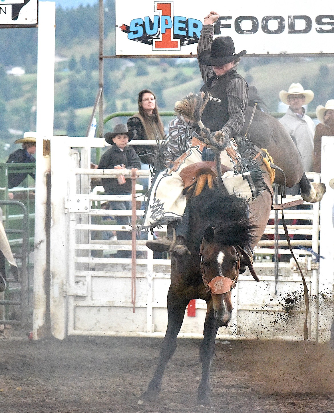 This bronc ride looks determined to ride his tough, Big Circle bronc.
(Berl Tiskus/Leader)