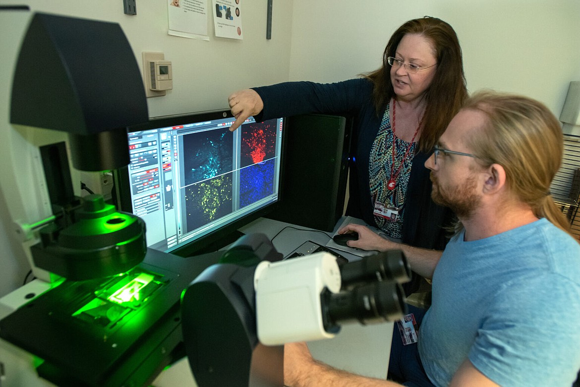 Rita Fuchs, left, a professor in the Integrative Physiology and Neuroscience department of WSU's College of Veterinary Medicine and the director of the WSU Alcohol and Drug Abuse Research Program, works with neuroscience PhD candidate Jobe Ritchie, right, as they view a display showing microscopic views of brain cells.