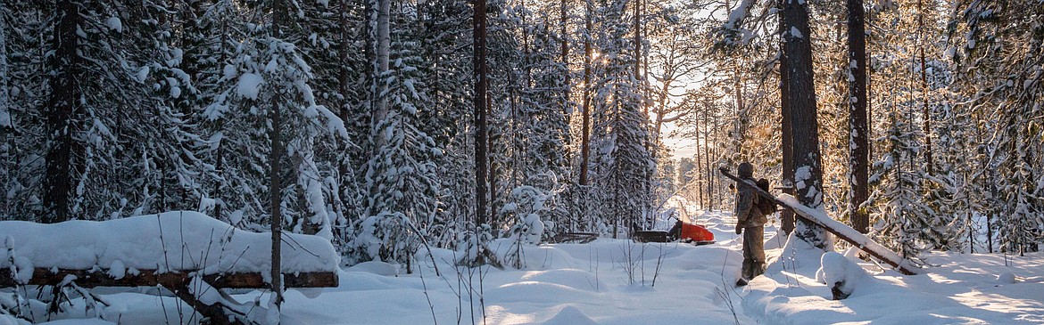 Montana Fish, Wildlife and Parks photo.