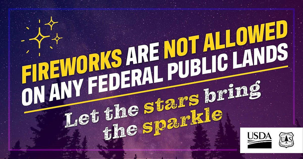 Spending Fourth of July in the forest? Leave fireworks at home - Vimarsana News