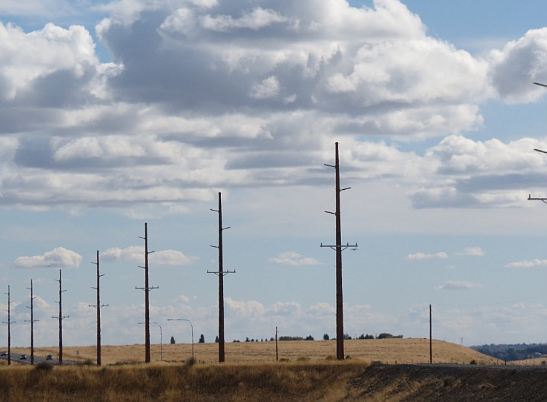 Power poles like these lining State Route 17 near Moses Lake will be the kind used for a new electrical transmission line between Wanapum Dam and Quincy, a project now in the design phase.