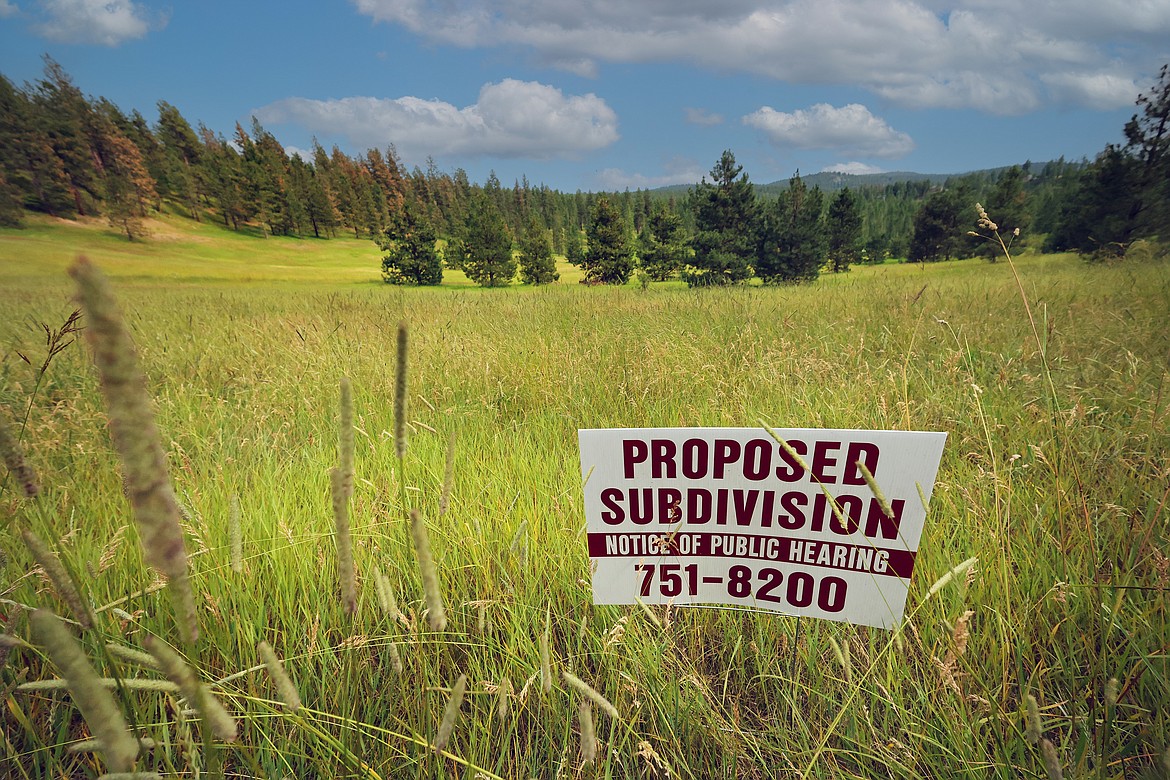 The proposed site of the Northshore Woods housing development in Bigfork Wednesday, June 28. (Jeremy Weber/Bigfork Eagle)