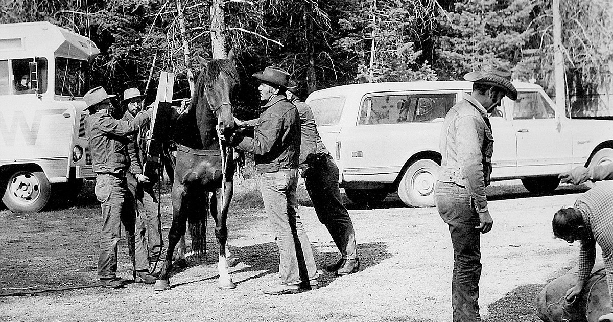 Horsepower — Back Country Horsemen mark 50 years - Vimarsana News