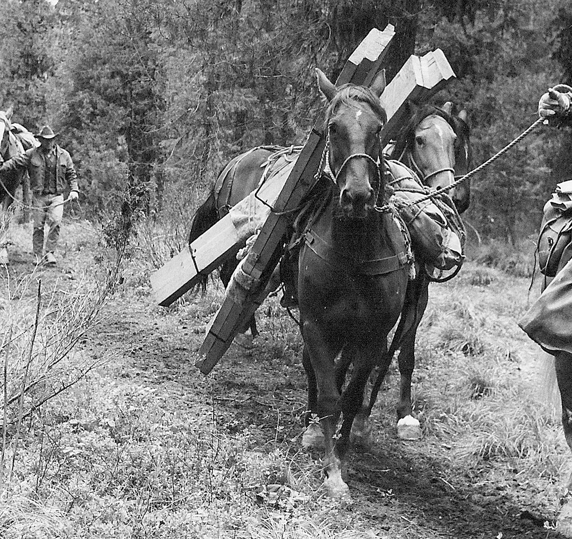 A photo of one of the early Back Country Horsemen projects, Big Salmon bridge, circa 1974. (Photo provided by Back Country Horsemen)