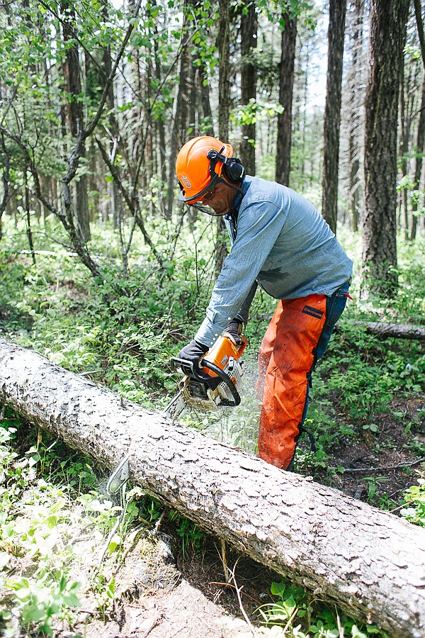 Jim Thramer  uses a chainsaw on a Back County Horsemen trail maintenance project. (Photo by Mandy Mohler)