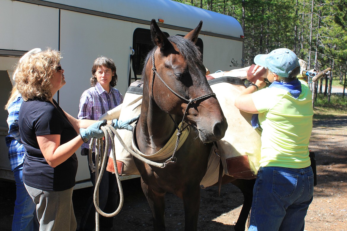 Keni Hopkins (left) Deborah Schatz (center) and Rena Johnson (right) of the Back Country Horsemen pack a horse before heading out on the trail. (Photo provided by Back Country Horsemen)