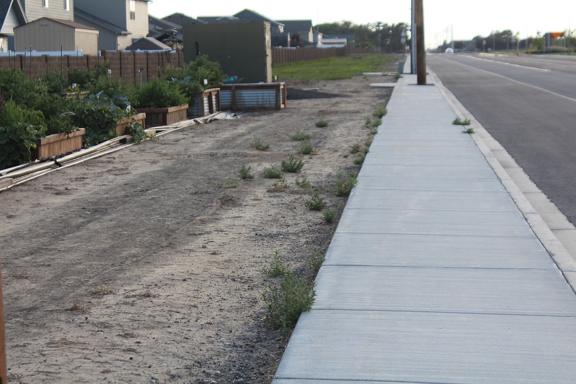 Quincy City Council members approved a contract to widen a sidewalk, pictured, across the street from Quincy High School during their Wednesday evening meeting. The hope is that the project will be completed before classes begin in the fall, allowing students a safer walk to school.