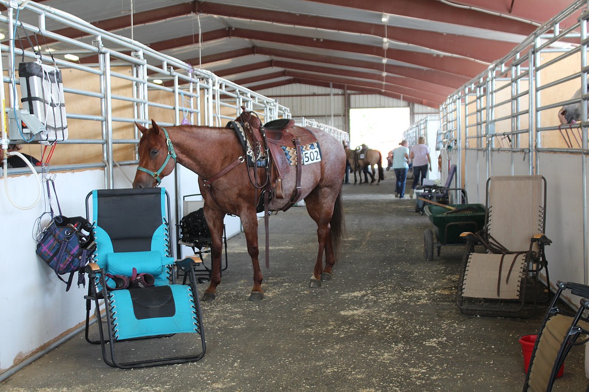 Horses, riders and equipment fill a barn at the Grant County Fairgrounds Friday. Two new barns will give the fairgrounds room to house up to 446 horses.