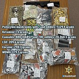 News Bites for July 13, 2023