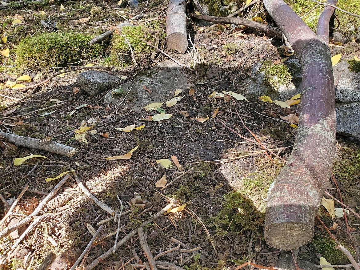 Jess Goetz had photos taken of trees that had been cut down on his property while having workers hang a sign from the pine trees.