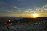 Phoenix hits at least 110 for 19th straight day, breaking U.S. city records in worldwide heat wave