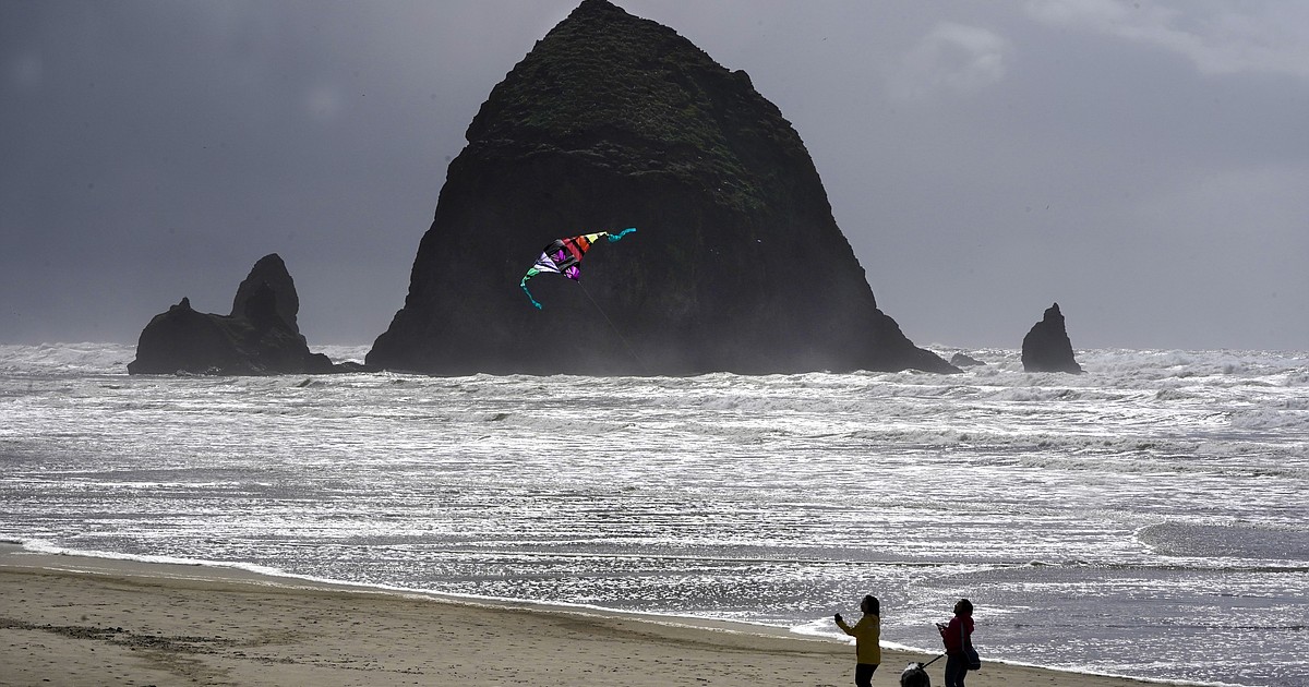Oregon's Cannon Beach reopens after cougar sighting on iconic coastal rock led to closure - Vimarsana News