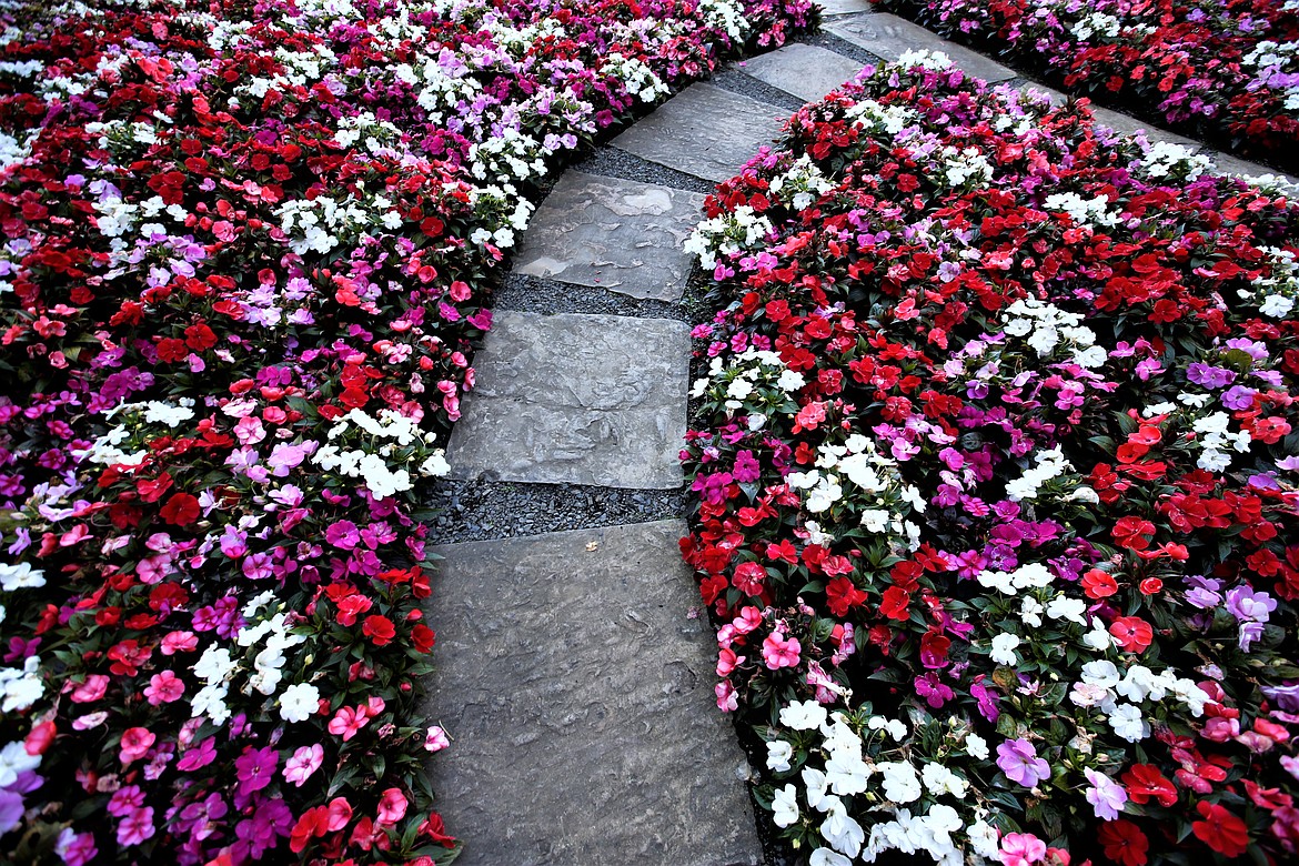A path lined by flowers guides guests through Hagadone Gardens on Tuesday.