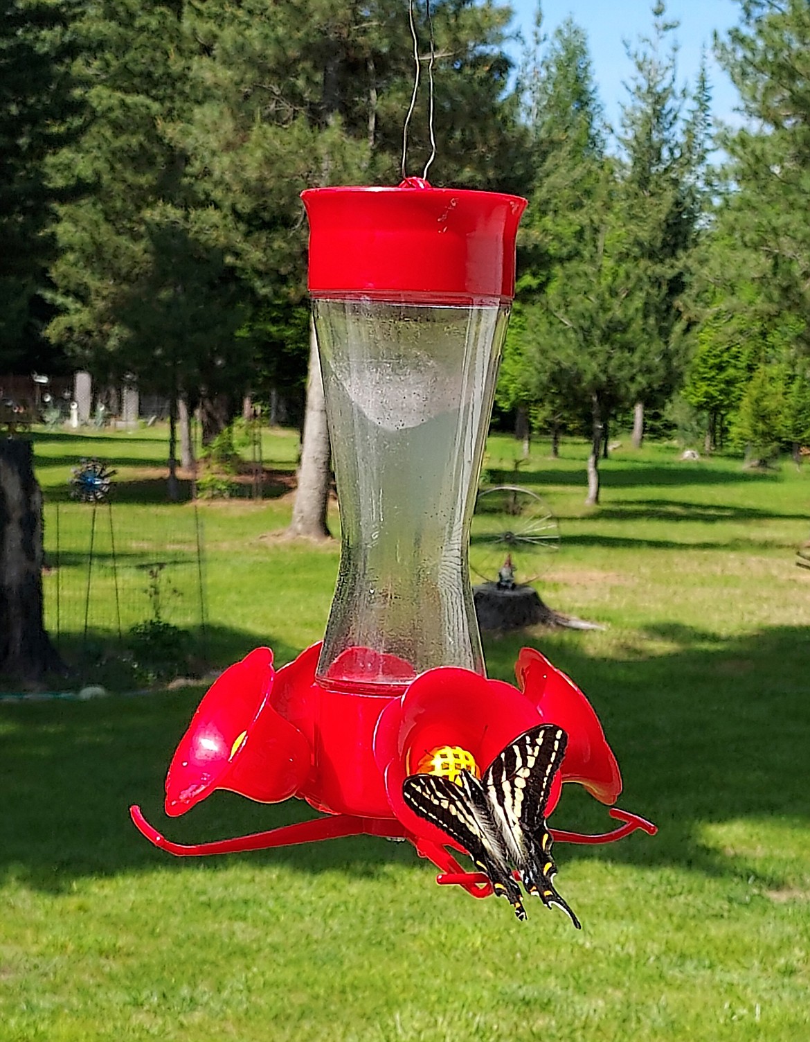 "Enjoying the visitors to our feeder this season," writes Michele Hutchings in sharing this Best Shot. If you have a photo that you took that you would like to see run as a Best Shot or I Took The Bee send it to the Bonner County Daily Bee, P.O. Box 159, Sandpoint, Idaho, 83864; or drop them off at 310 Church St., Sandpoint. You may also email your pictures to the Bonner County Daily Bee along with your name, caption information, hometown, and phone number to news@bonnercountydailybee.com.