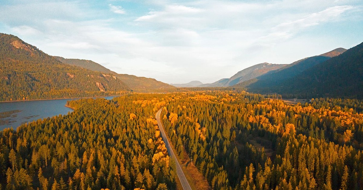 Vital Ground preserves grizzly land - Vimarsana News