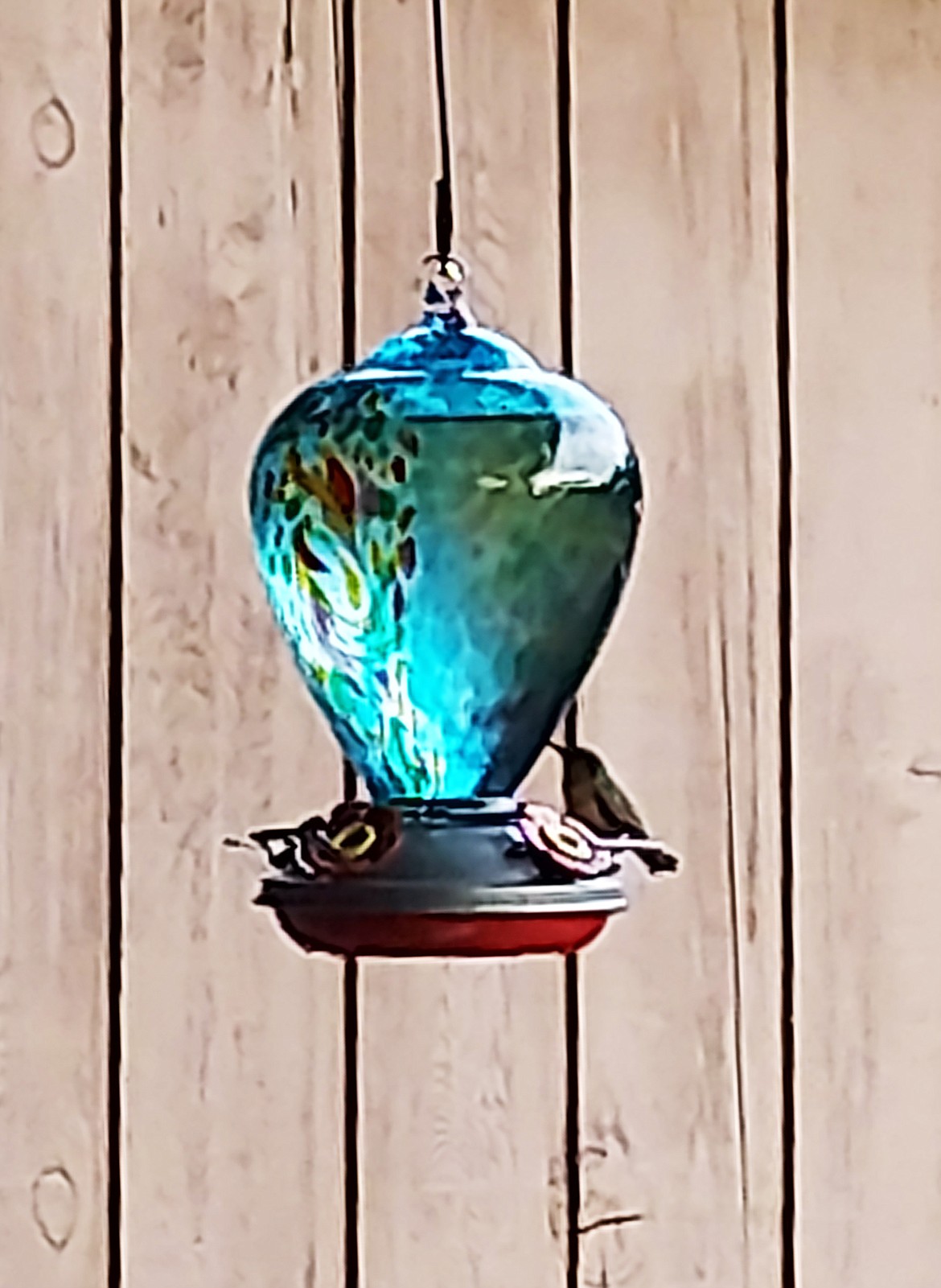 "Beautiful sweet birds, so very fast," writes Patty White in sharing this Best Shot of hummingbirds enjoying a bite to eat at her home. If you have a photo that you took that you would like to see run as a Best Shot or I Took The Bee send it to the Bonner County Daily Bee, P.O. Box 159, Sandpoint, Idaho, 83864; or drop them off at 310 Church St., Sandpoint. You may also email your pictures to the Bonner County Daily Bee along with your name, caption information, hometown, and phone number to news@bonnercountydailybee.com.