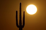 Arizona woman died after her power was cut over a $51 debt. That forced utilities to change