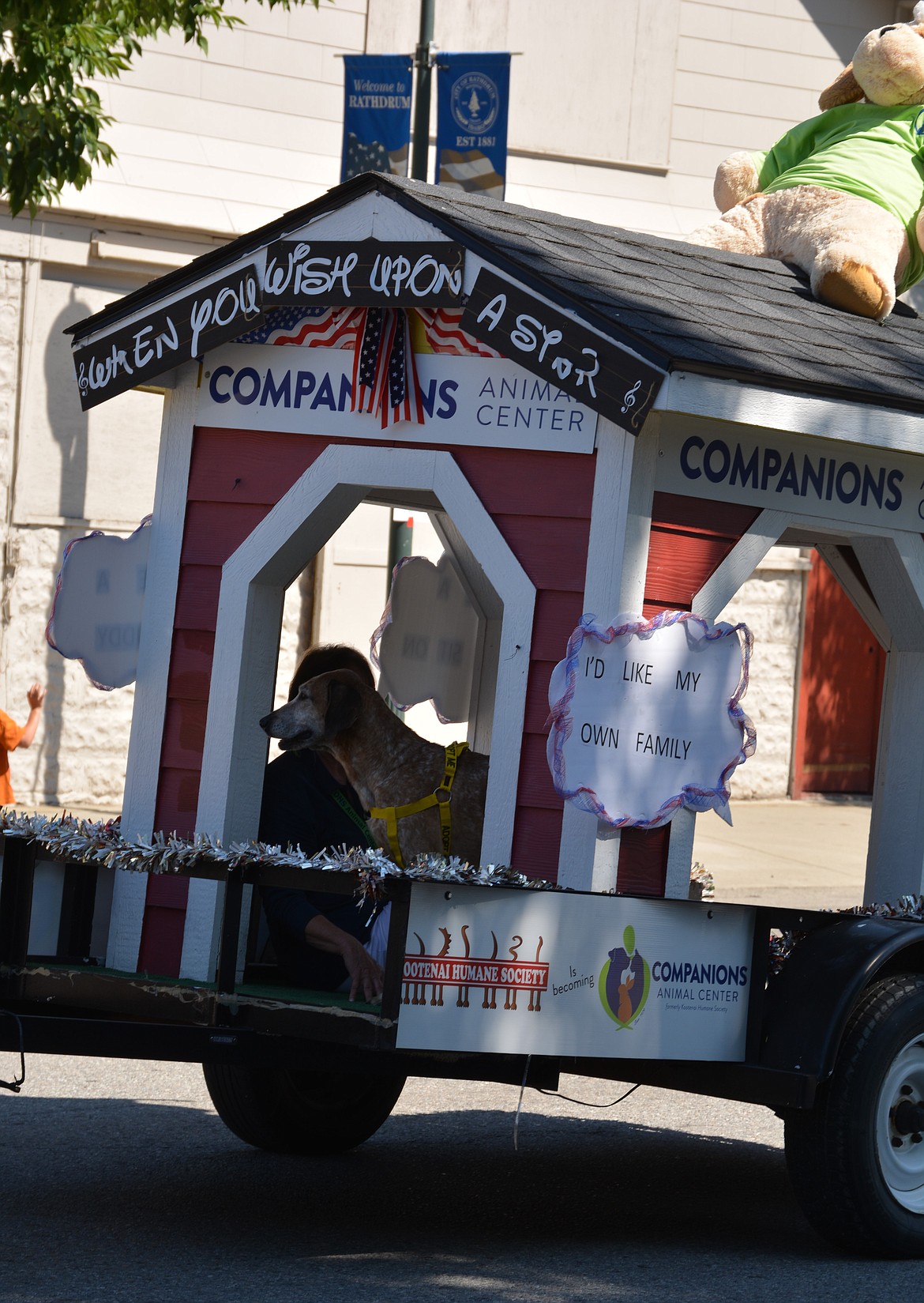 A dog from the Companions Animal Center surveys the crowd from a float at the Rathdrum Days Parade. A sign that says "I want my own family" is posted on the vehicle to raise awareness about pet adoptions.