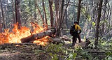 Beauty Creek Fire contained